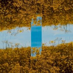 World Of Reflections Remixes