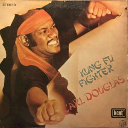 Kung Fu Fighter