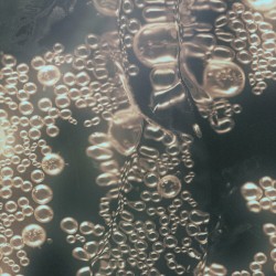 Conceive the Sea