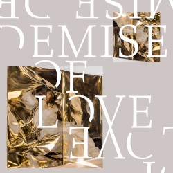 Demise Of Love