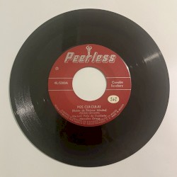 Pos cui-cui-ri / Doscientas horas de vuelo