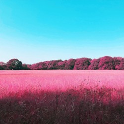 kj (lower bridge version)