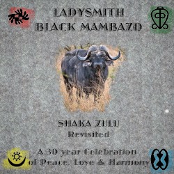 Shaka Zulu Revisited
