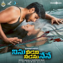 Ninu Veedani Needanu Nene