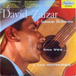 Una voz y una guitarra