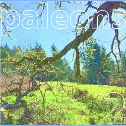 PALEONS 2