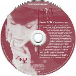 House of Brick (Brick House)