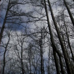 We Pass Like Night, From Land to Land