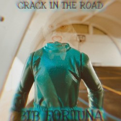 Bib Fortuna