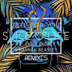 Feel for You [Remixes]