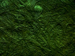 R'lyeh Ftaghn