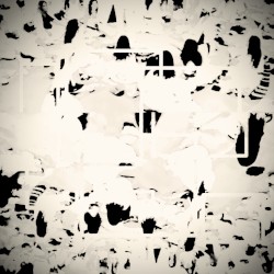 apart