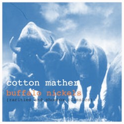 Buffalo Nickels (Rarities and Shoebox Classics)