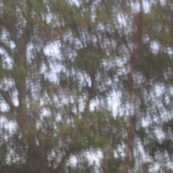 Apartment Atmosphere 9/14/2022