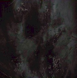 月の肌と生きた森