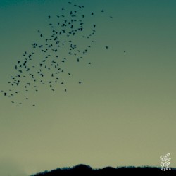 afterglow -残照- (JUN22)