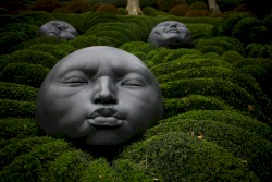 The Experimental Prototype Community of Tomorrow