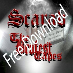 The Brofest Tapes (One Drunken Weekend)