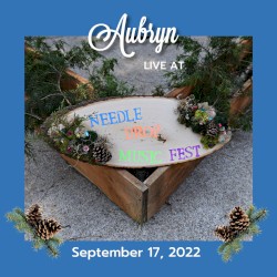 Live at Needle Drop Fest