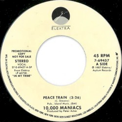 Peace Train