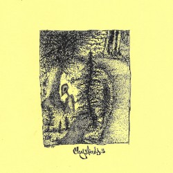 A Separation of Vanity