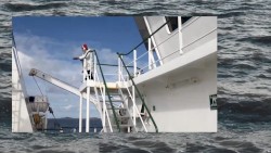 ATLANTIC TALES: SELACHOPHILIA: CETORHINUS MAXIMUS – LIMARIA HIANS immersive audiovisual narrative (7‐minute excerpt from a 33‐minute sound work)