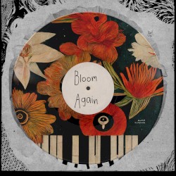 Bloom Again
