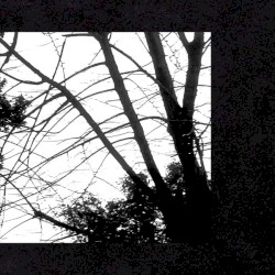 If I Don't Wake Up, I Love You