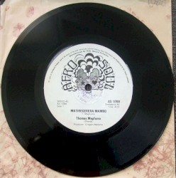 Matiregerera Mambo / Zvandiviringa