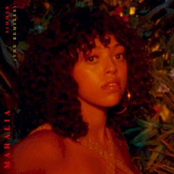 Simmer (The Remixes)