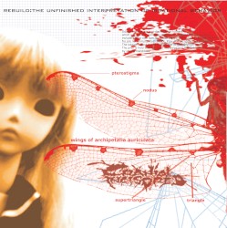 Rebuild: The Unfinished Interpretation of Irrational Behavior