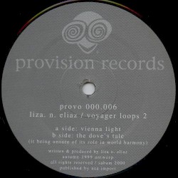 Voyager Loops 2