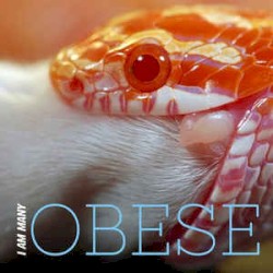 Obese