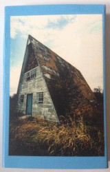 Cara Neir / Chasmbound