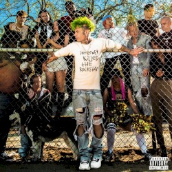 Internet Killed the Rockstar