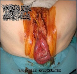 Vaginally Eviscerated