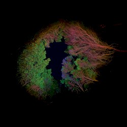 Hidden Island Music (Untitled #398)