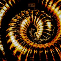 Nine Inch Nails - Reaps Remix Single 014 - Closer