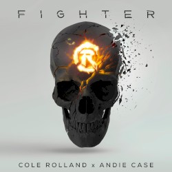 Fighter