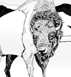 NIGHTLIGHTS I-III + TACOMA CENTER 1600