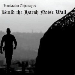 Build the Harsh Noise Wall