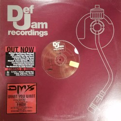 What You Want / Fame