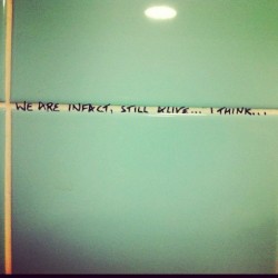 We Are Infact, Still Alive... I Think...