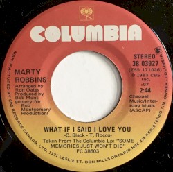 What If I Said I Love You / Baby That’s Love