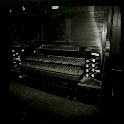 The Rustle of the Stars