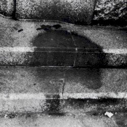 Because We Wished to Avoid the Killing of Civilians