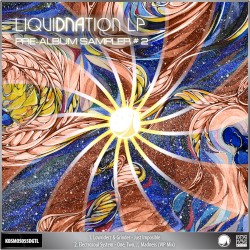 LiquiDNAtion LP - Pre‐Album Sampler #2