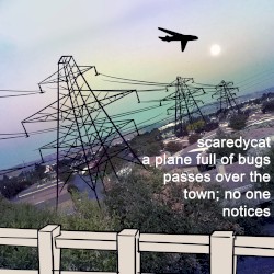 a plane full of bugs passes over the town; no one notices