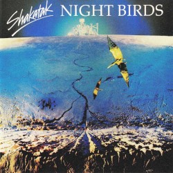Night Birds
