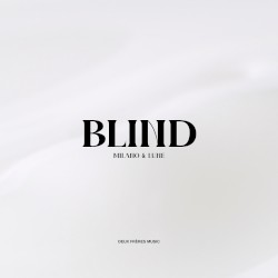 Blind